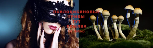 марки lsd Белокуриха