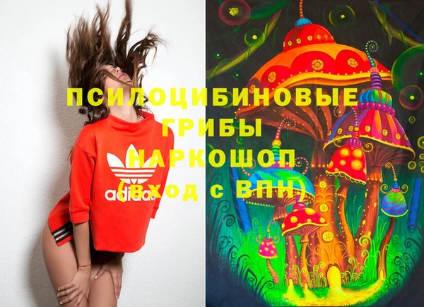 марки lsd Белокуриха