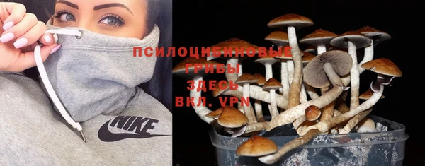 сатива Белоозёрский
