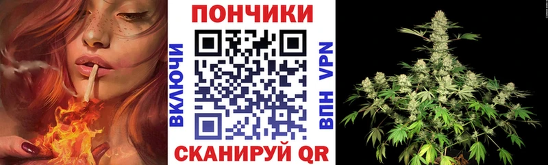 Бошки марихуана THC 21%  что такое наркотик  Онега 